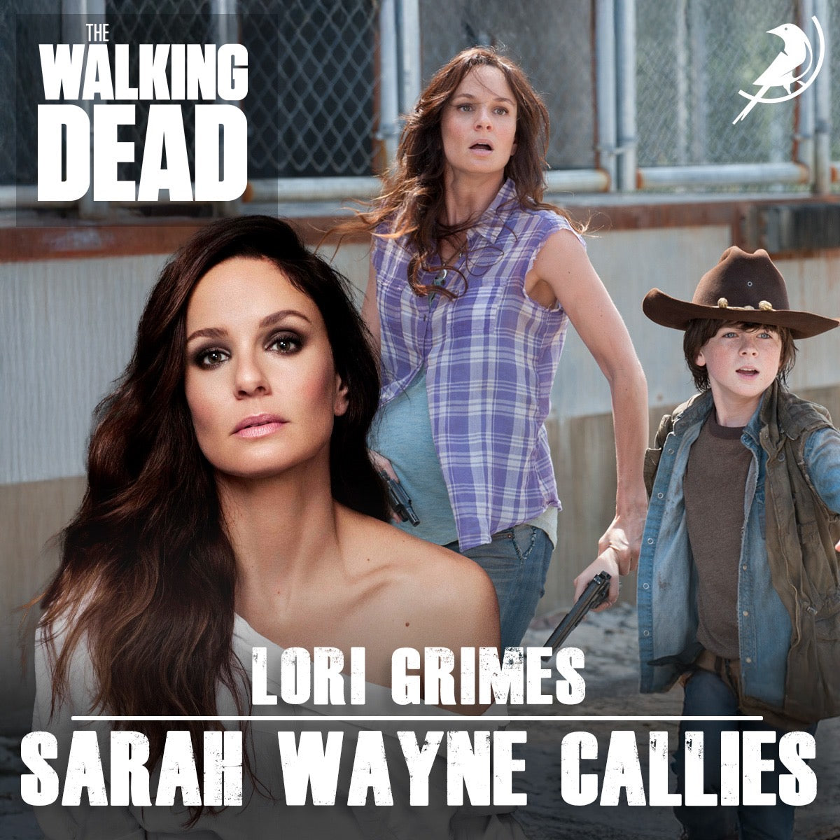 Sarah Wayne Callies Autograph Signing