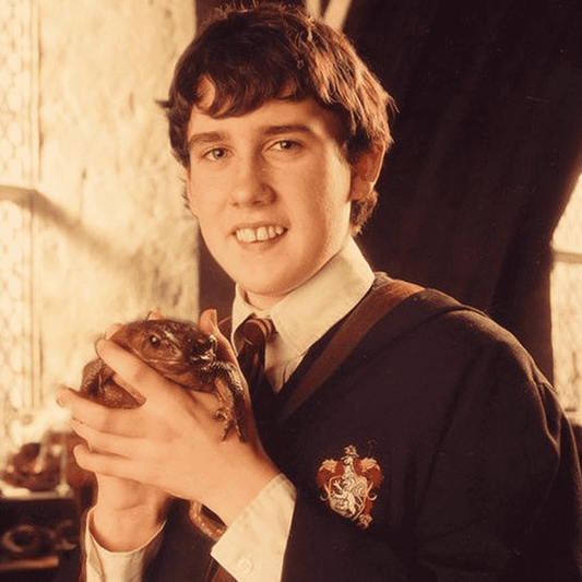 Matthew Lewis Autograph Signing
